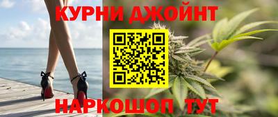 сатива Будённовск