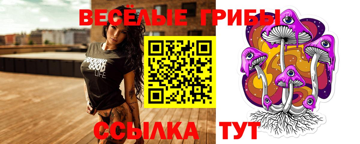 Псилоцибиновые грибы мухоморы  Вход с VPN  продажа наркотиков  Шахты  Галлюциногенные грибы MAGIC MUSHROOMS 